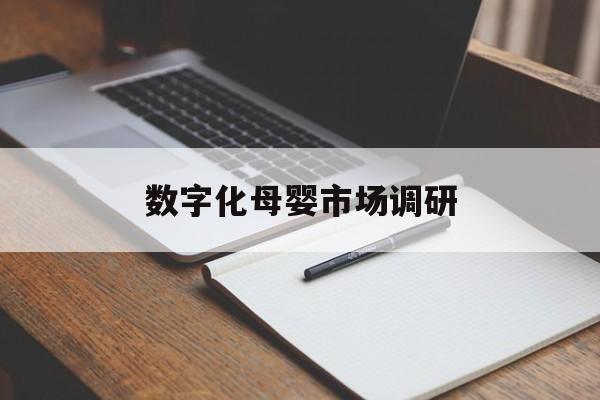 朔州市数字化母婴市场调研(数字化母婴市场调研报告)